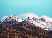 热点更新-坦博尔的“全场景闭环”与生态赋能实验：滑雪装备由品牌驱动转向性能与场景驱动